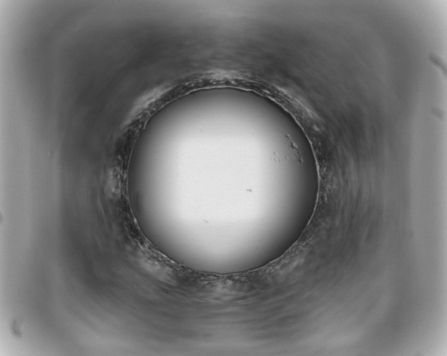 X0000096201207200801251005