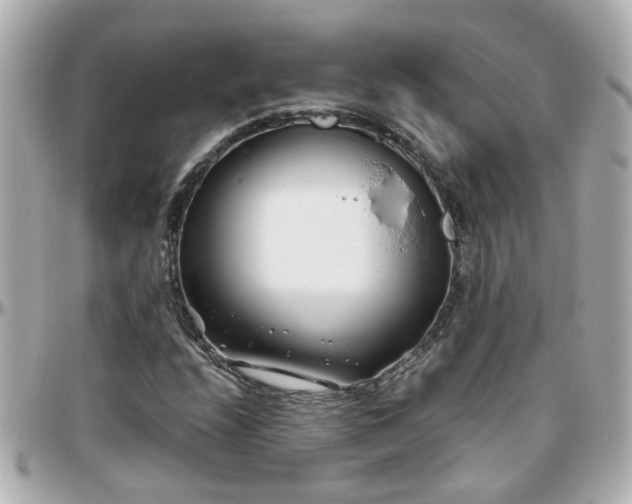 X0000096201208200801251005