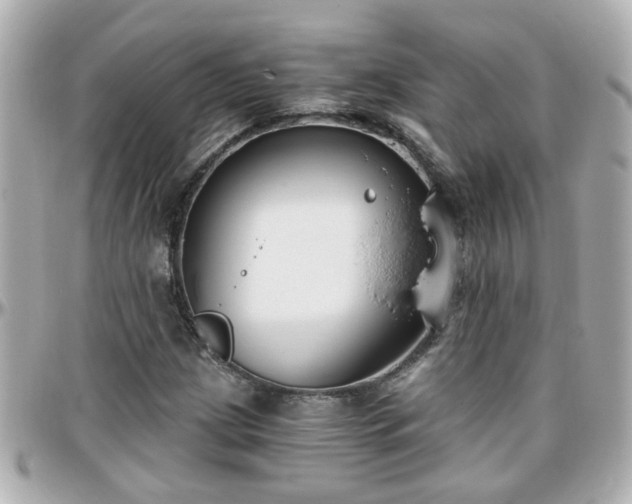 X0000096201209200801251005