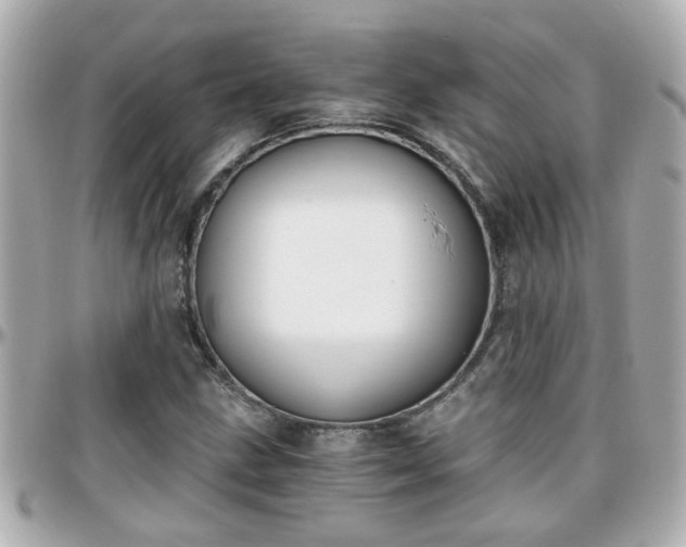 X0000096201211200801251005