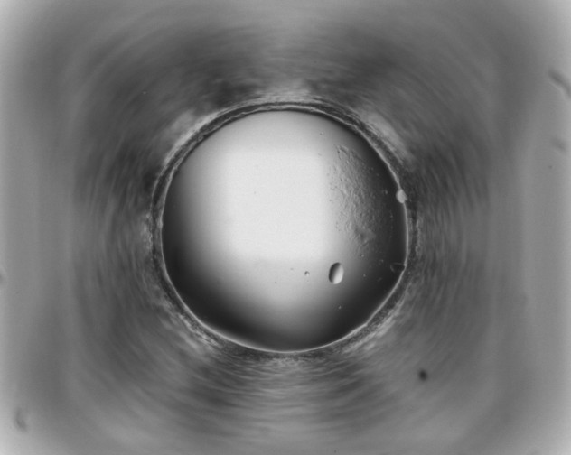 X0000096201212200801251005