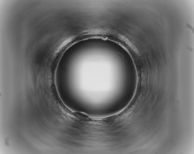 X0000096201213200801251005