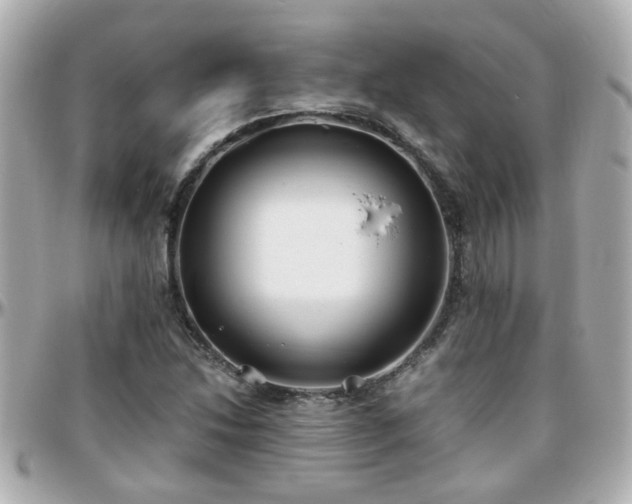 X0000096201214200801251005