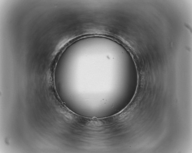 X0000096201215200801251005