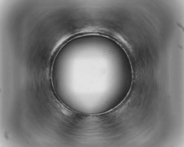 X0000096201216200801251005
