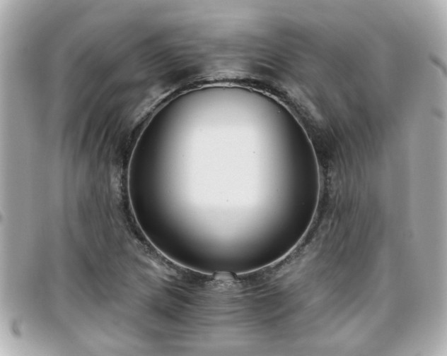 X0000096201217200801251005