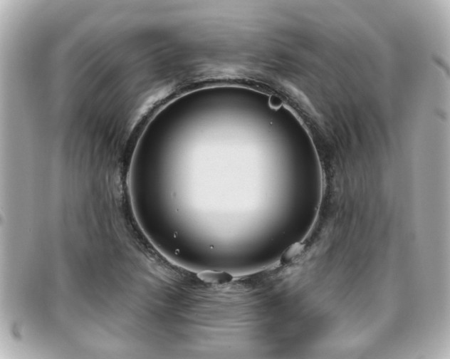 X0000096201218200801251005