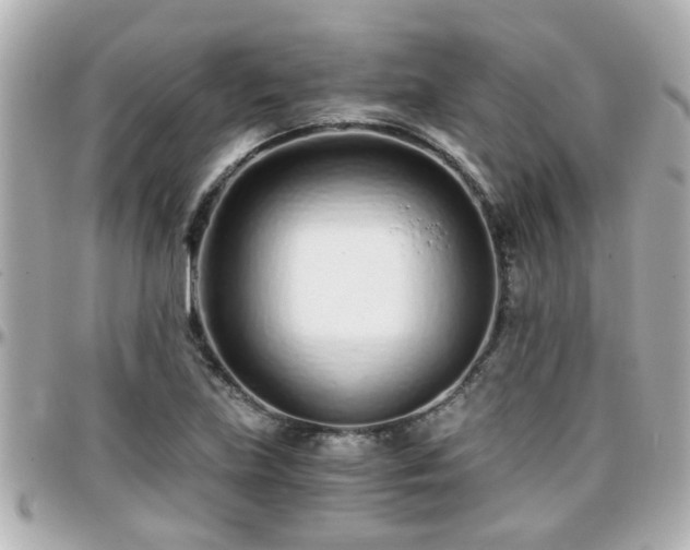 X0000096201219200801251005