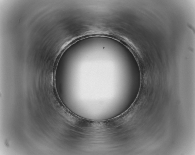 X0000096201220200801251005
