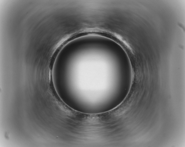 X0000096201221200801251005