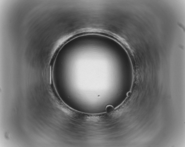 X0000096201223200801251005