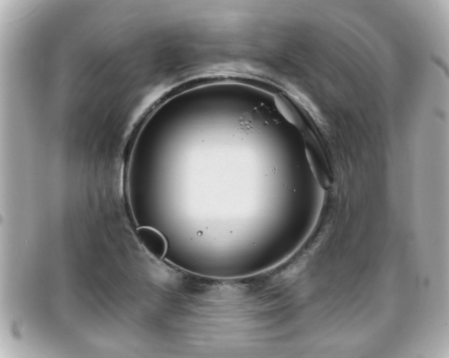 X0000096201224200801251005