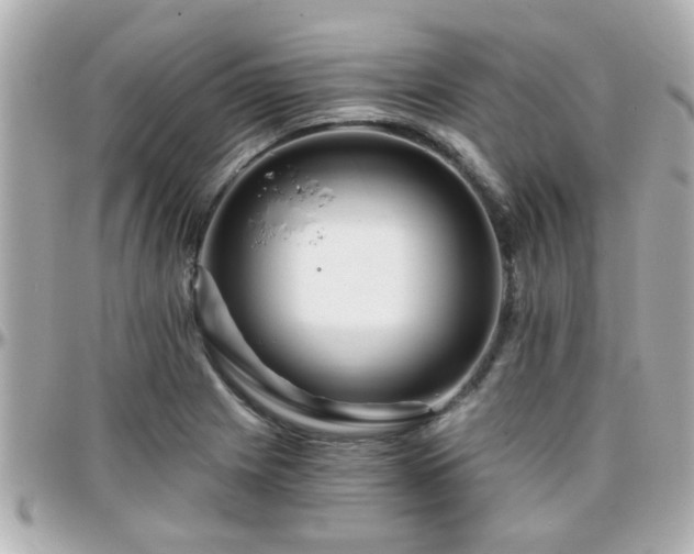 X0000096201225200801251005