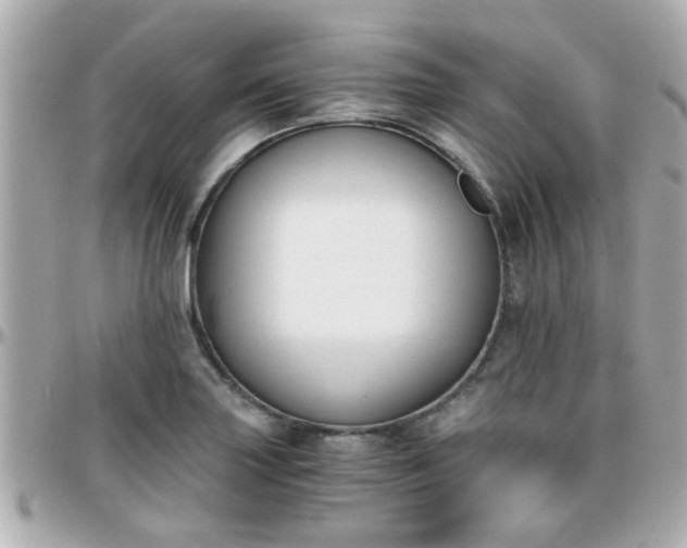 X0000096201227200801251005