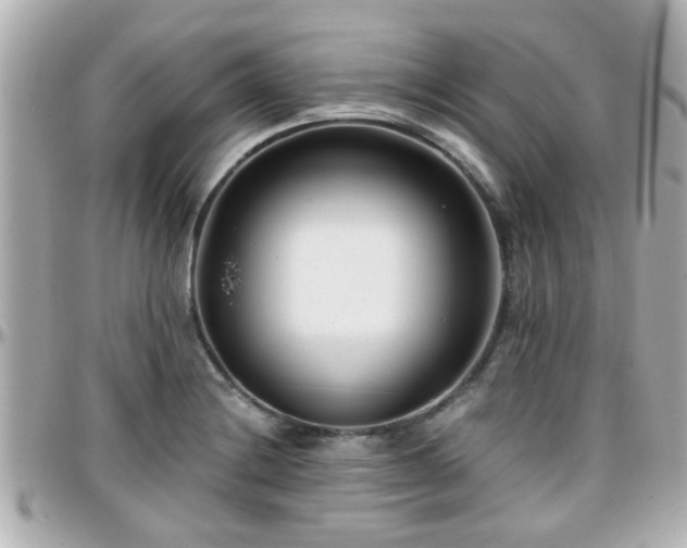 X0000096201228200801251006