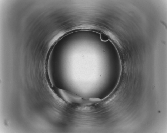 X0000096201229200801251006