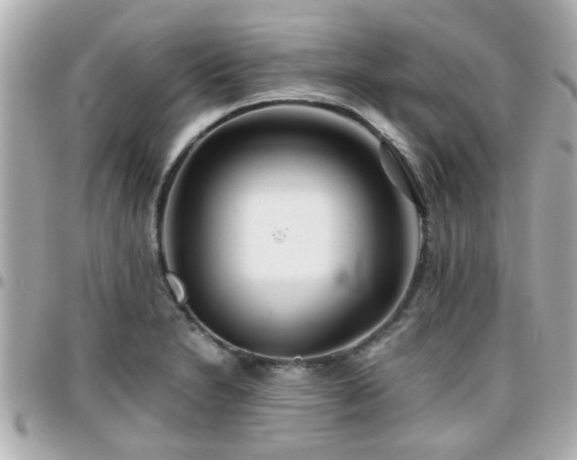 X0000096201230200801251006