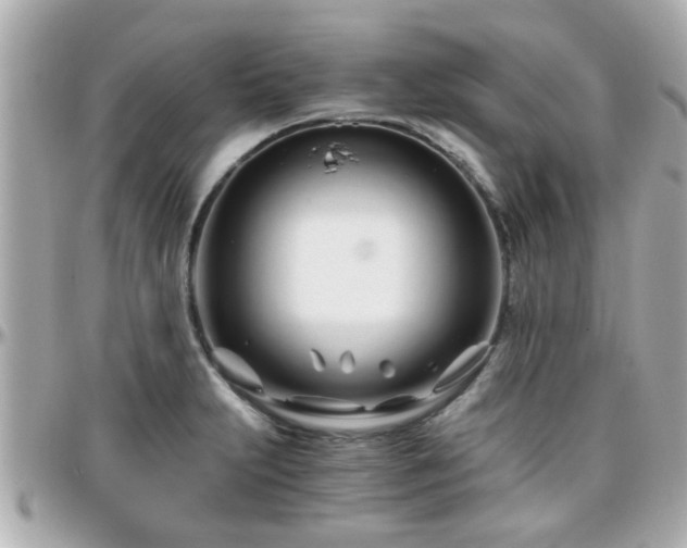X0000096201231200801251006