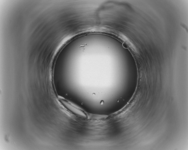 X0000096201232200801251006