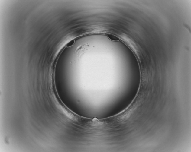 X0000096201235200801251006