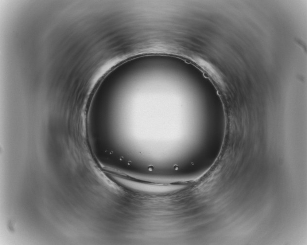 X0000096201238200801251006