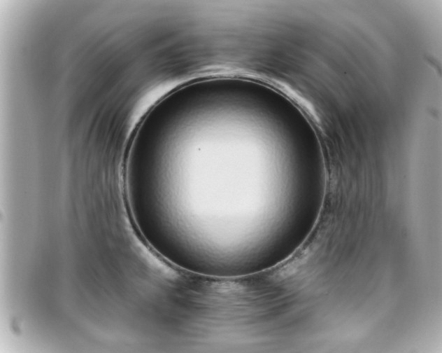 X0000096201239200801251006