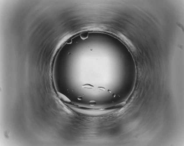 X0000096201240200801251006
