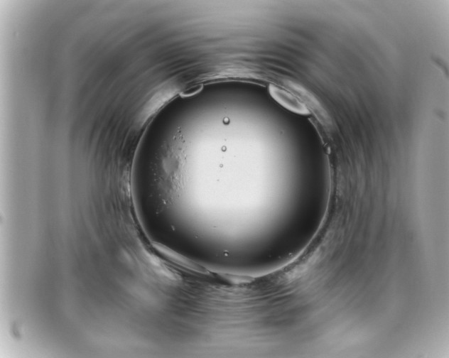 X0000096201241200801251006