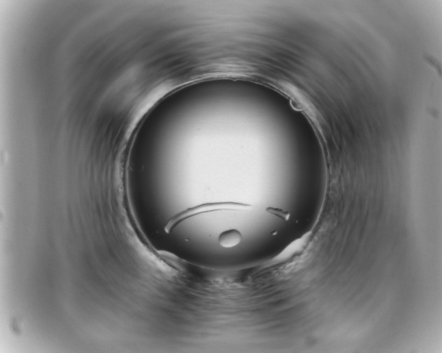 X0000096201243200801251006