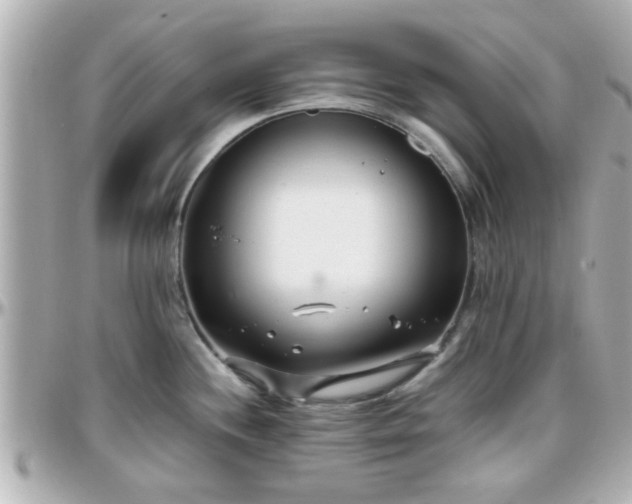 X0000096201244200801251006