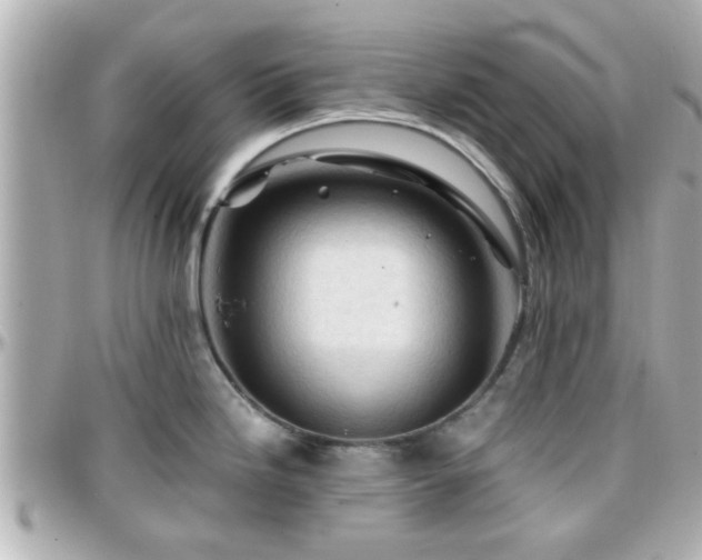 X0000096201246200801251006