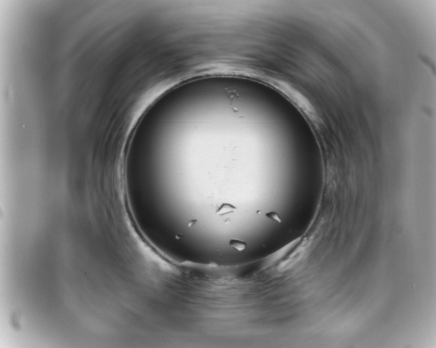X0000096201247200801251006