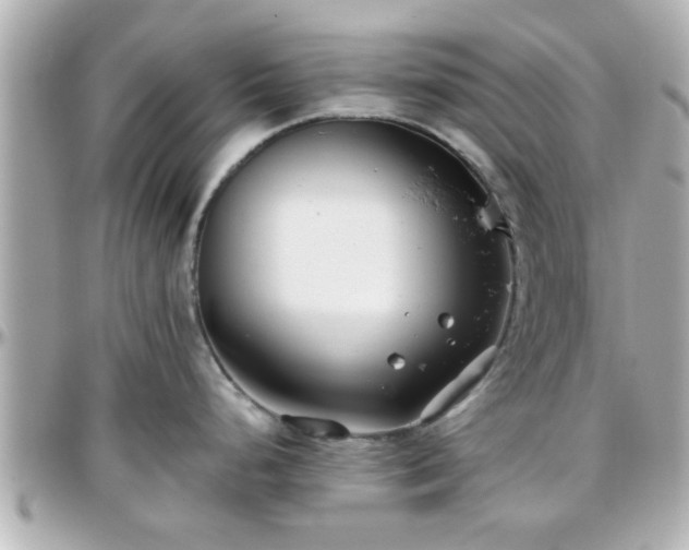 X0000096201248200801251006