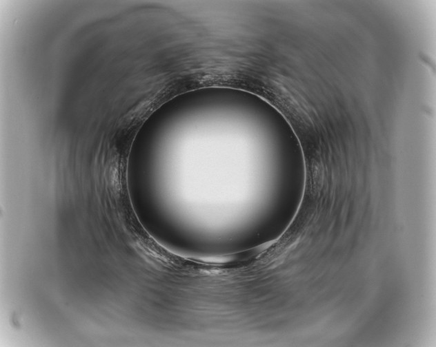X0000096201250200801251005