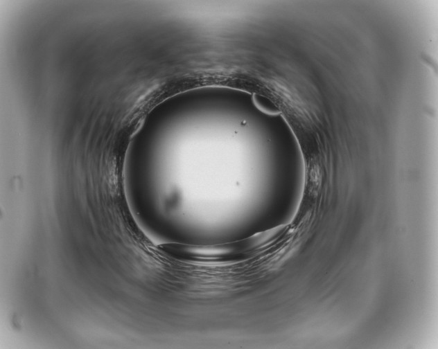 X0000096201252200801251005