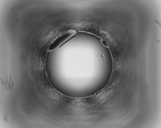 X0000096201253200801251005