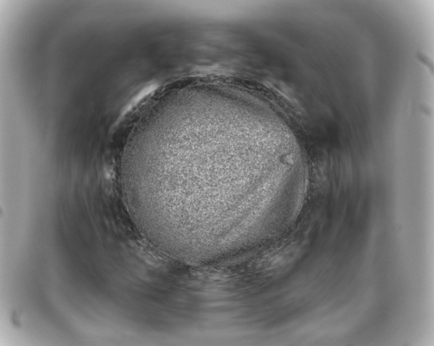 X0000096201254200801251005