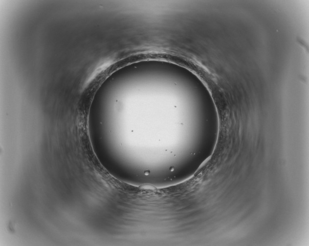 X0000096201255200801251005