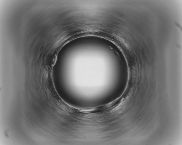X0000096201257200801251005