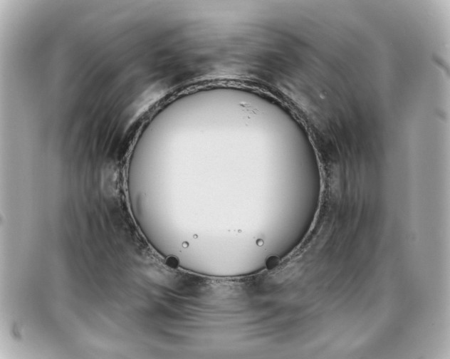 X0000096201258200801251005