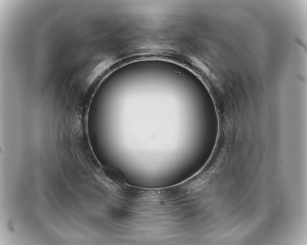 X0000096201259200801251005