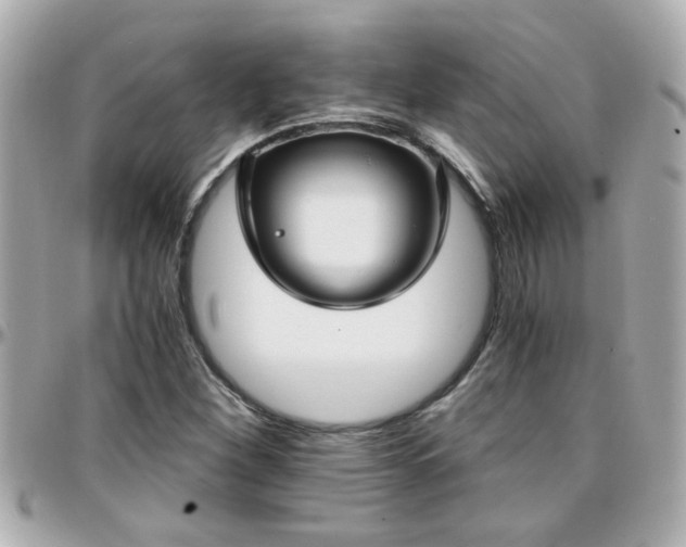 X0000096201260200801251005
