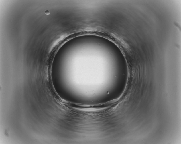 X0000096201262200801251005