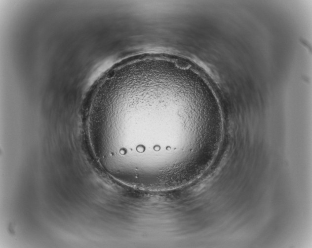 X0000096201263200801251005