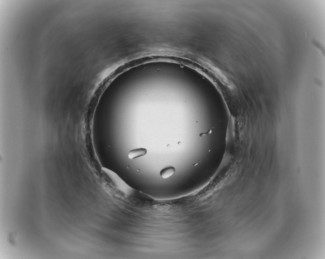 X0000096201264200801251005