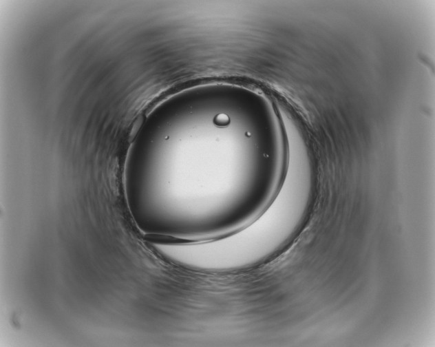 X0000096201265200801251005