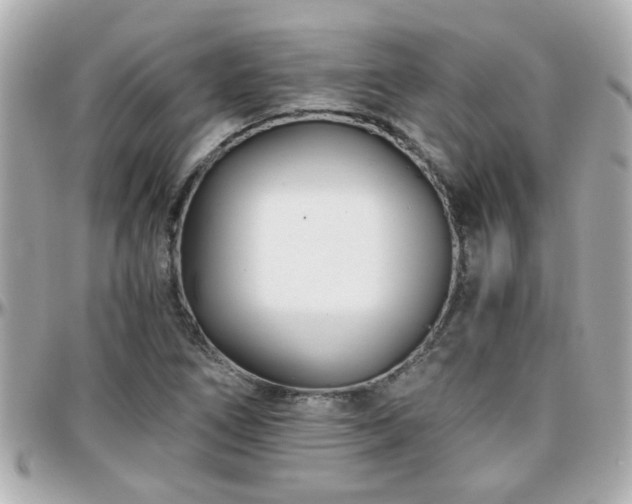 X0000096201266200801251005