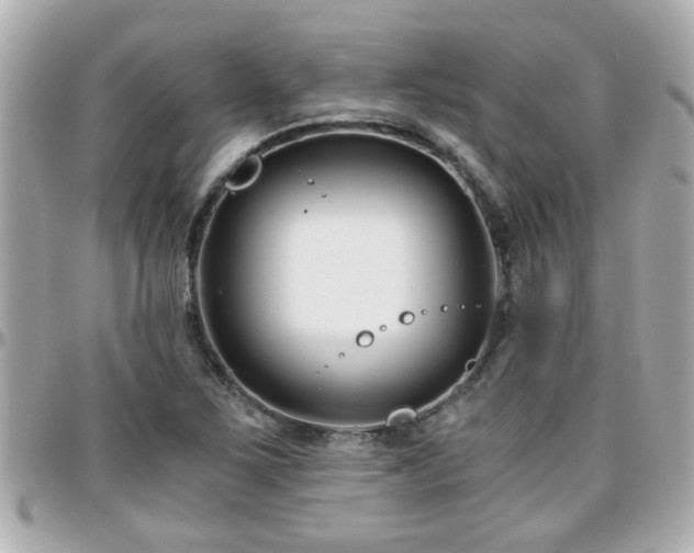 X0000096201267200801251005