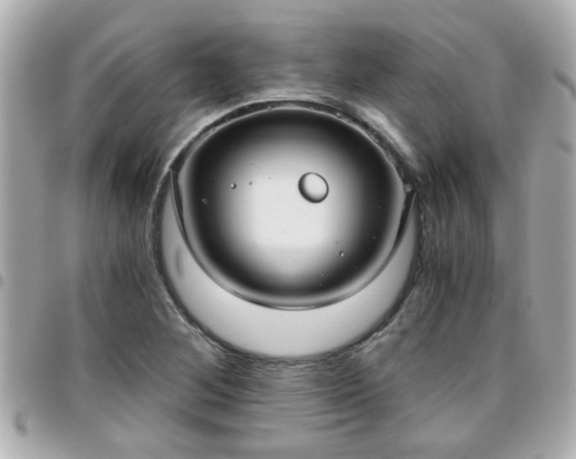 X0000096201268200801251005