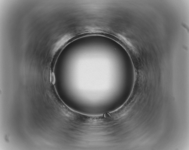 X0000096201269200801251005